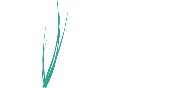 Local Parks — Pittsburgh Modular Synthesizers